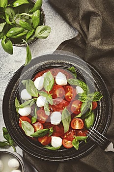 Tasty caprese salad with ripe red tomatoes and mozzarella cheese with fresh green basil leaves. Italian food. Top view