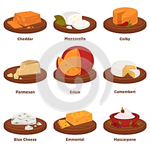 Delicious exquisite cheeses on round wooden treys collection photo