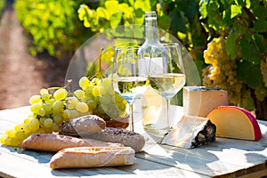 Tasty cheese, wine, grapes and bread on table in vineyards