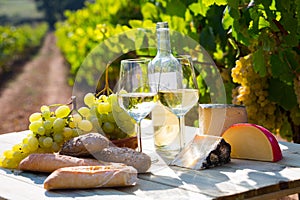 Tasty cheese, wine, grapes and bread on table in vineyards