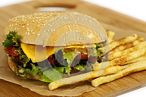Tasty cheeseburger with fries photo