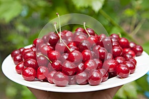 Tasty cherries