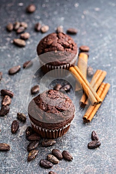 The tasty chocolate muffins and cocoa beans.