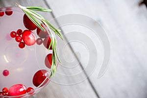 Tasty christmas cocktail with cranberry and foxberry