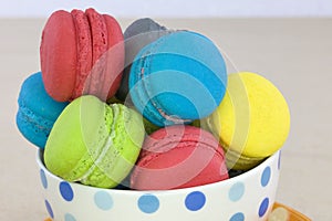 Tasty colorful macaroon