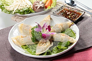 A tasty cuisine photo of dumpling