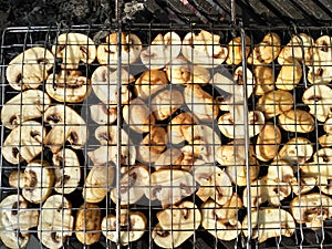 Tasty delicious champignons are cooked on coals. Grilled mushrooms roasting on BBQ grill outdoor. Grilled food fried in charcoal