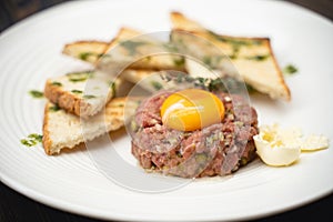 A tasty dish of meat and egg yolk with croutons on a plate