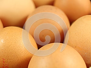 Tasty eggs with fresh natural raw chicken photo