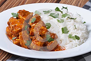 Tasty fillet chicken curry with rice on a plate