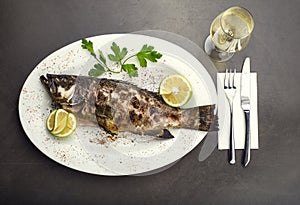 Tasty fish with lemon and white wine, Grilled fish dish