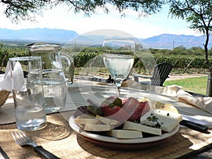 Tasty food: Lunch break in Argentina Vineyard photo