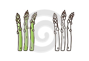 Tasty fresh asparagus monochrome and color set vector flat illustration. Natural dietary edible plant in line art style