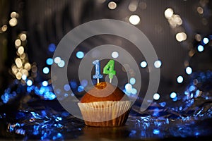 Tasty fresh birthday cupcake with number 14 fourteen