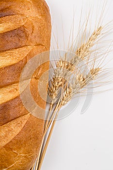 Tasty fresh black and white bread with wheat and flour on a white background