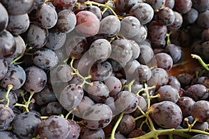 Tasty Fresh Grape in Market,Moroccan Traditional Dessert, Seasonal Fruit