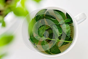 Tasty fresh herbal tea with green peppermint and basil essential oils