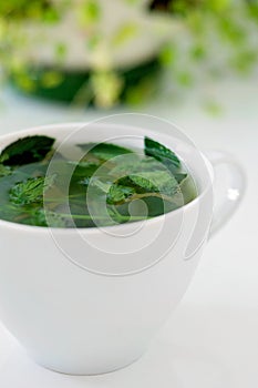 Tasty fresh herbal tea with green peppermint and basil essential oils