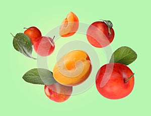 Tasty fresh plums and leaves falling on light green background