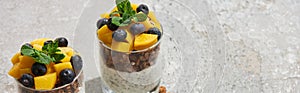 Tasty granola with canned peach, blueberries and yogurt with chia seeds on grey concrete surface, panoramic shot