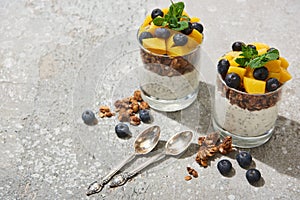 Tasty granola with canned peach, blueberries and yogurt with chia seeds on grey concrete surface with spoons
