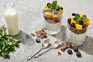 Tasty granola with canned peach, blueberries and yogurt with chia seeds on grey concrete surface with spoons, mint and milk