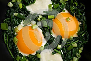 Tasty green Shakshouka in frying pan, top view