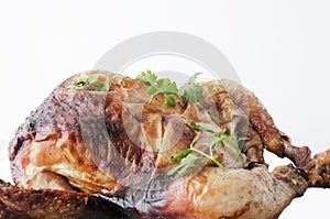 Close up grilled chicken,parsley on it against totaly white background photo