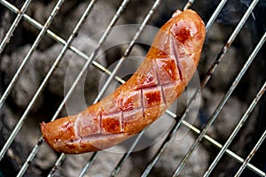 Tasty grilled sausage. Baked crust of delicacies on a homemade grill