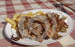 Tasty gyros withÃÂ french fries served at traditional restaurant