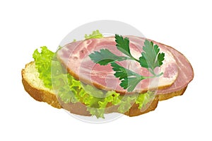 Tasty ham sandwich isolated