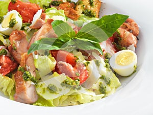 Tasty healthy Caesar salad with sweet basil and lettuce
