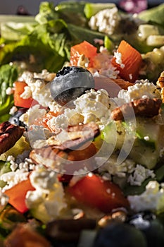 A Tasty and Healthy looking Salad with fruits and vegetables Close Up