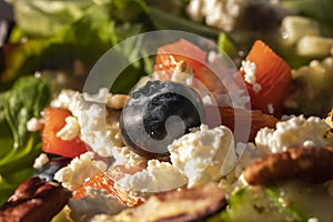 A Tasty and Healthy looking Salad with fruits and vegetables Close Up