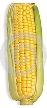Tasty healthy sweetcorn cob with its leaves