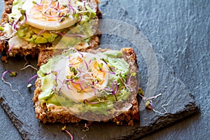 Tasty and healthy vegetarian sandwich with avocado and egg sprinkled with sprouts