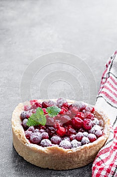 Tasty homemade cranberry pie on gray background