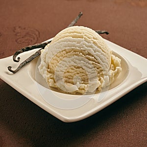 Tasty homemade creamy vanilla ice cream