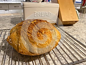 A tasty homemade crusty bread loaf right out of the oven