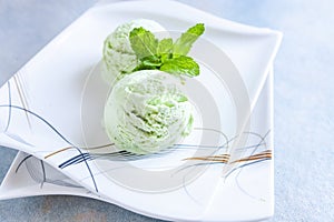 Tasty homemade mint ice cream with mint on portion dish