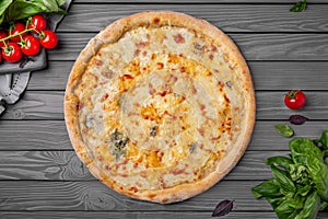 Tasty hot italian pizza Quattro Formaggio four cheeses. Pizzeria menu. Concept poster for Restaurants or pizzerias.