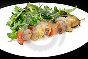 Tasty kebab with salad