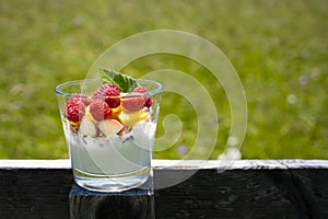 tasty looking healthy and yoghurt with fresh fruits like raspberries, peach, granola and mint leaf