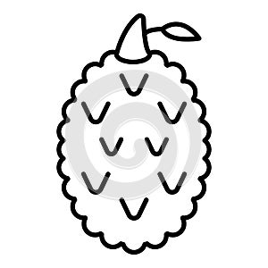 Tasty lychees icon, outline style