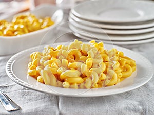 Tasty mac and cheese on plate