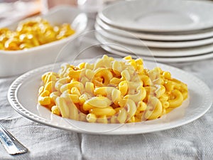 Tasty mac and cheese on plate photo