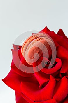 Tasty macaroon cookies and red rose on a white background