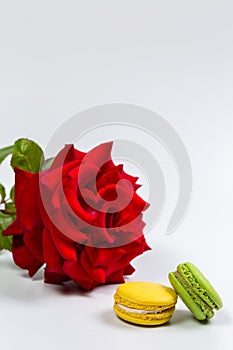 Tasty macaroon cookies and red rose on a white background