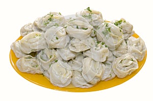 Tasty manti