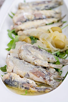 Tasty Marinated sardines